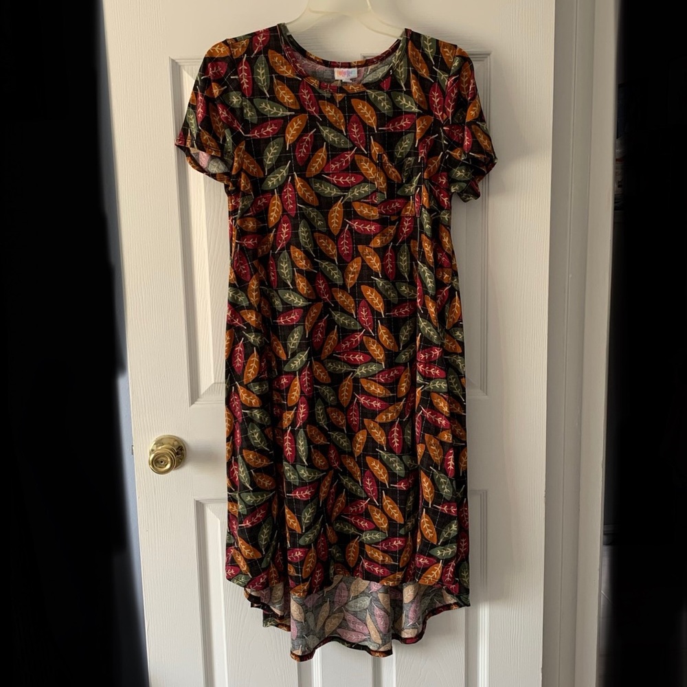 LuLaRoe Colorful Leaves Carly Dress Medium - Picture 2 of 5